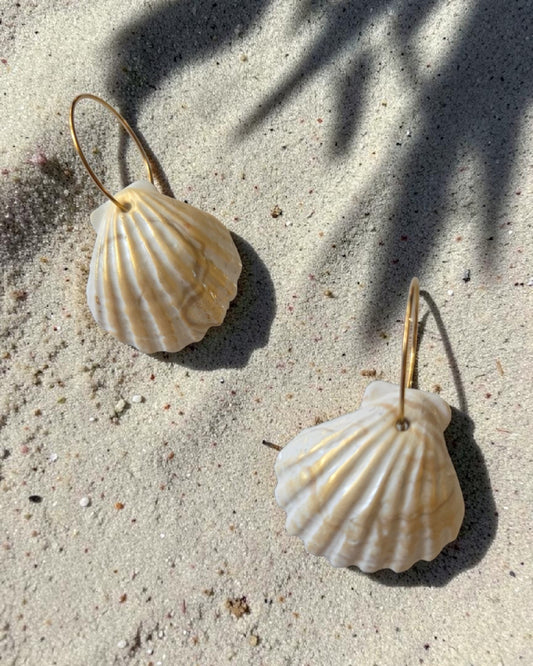 LUXea Shell